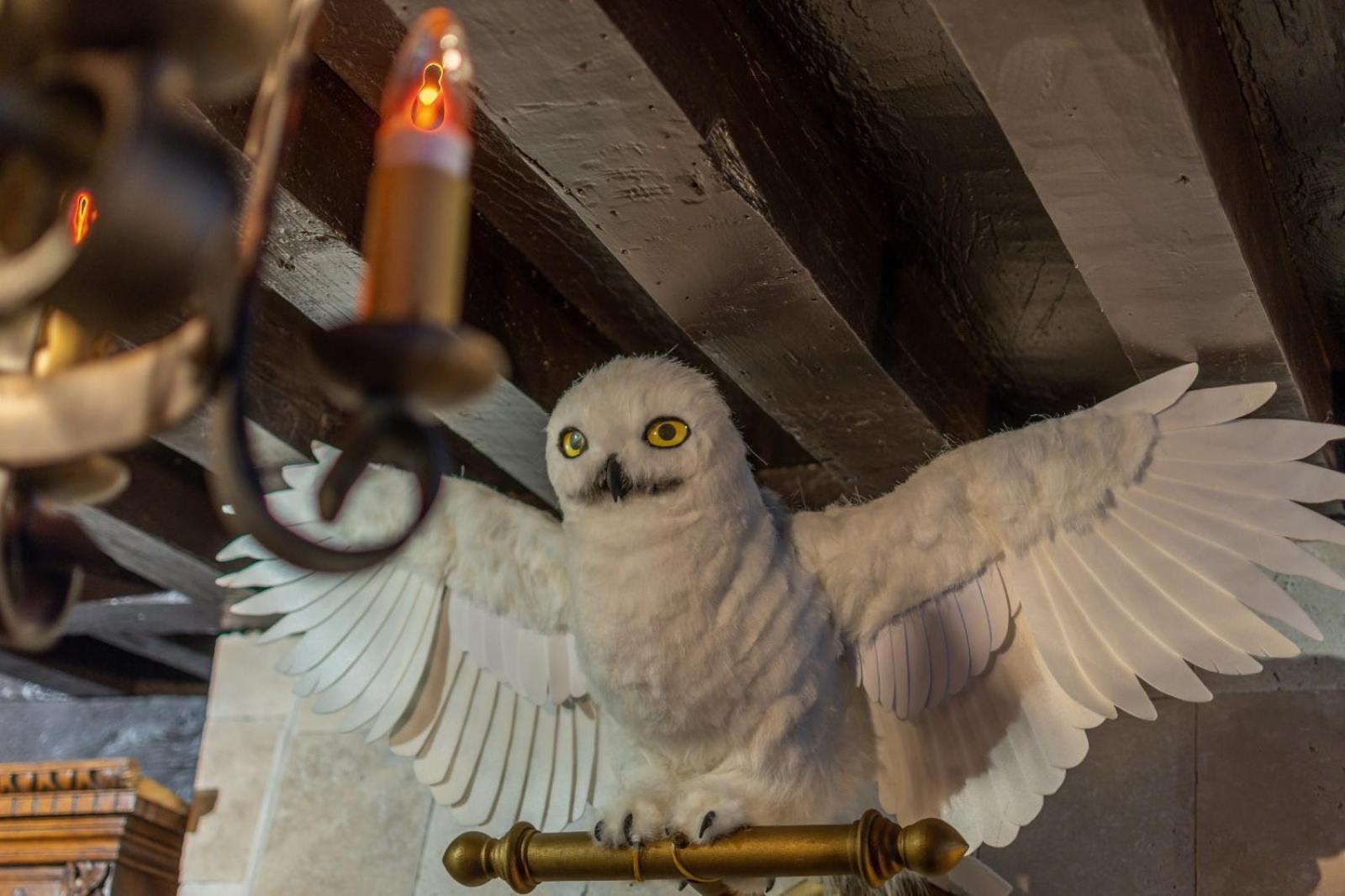Sorcier Magique & Experience Immersive Caen Exteriér fotografie